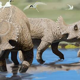 Centrosaurus by Science Photo Library