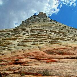 Checkerboard Mesa Zion by Douglas Miller