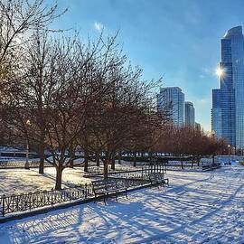 Chicago Park