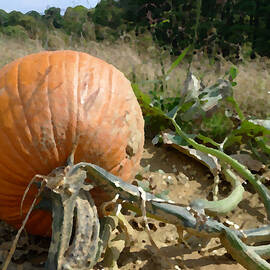 Chosen by Richard Reeve