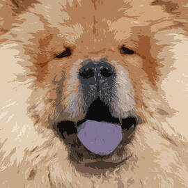 Chow Chow by Nancy Merkle