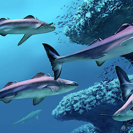 Cladoselache Sharks by Science Photo Library