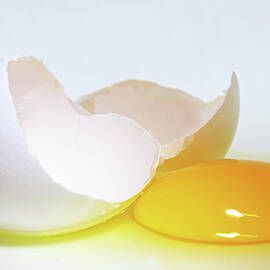 Close-up Of A Broken Egg On White by Zen Rial
