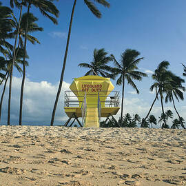 Closed lifeguard shack on a deserted tropical beach with palm tr by Edward Fielding