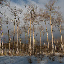 Clouds Passing Over on a Winter Morning by Cascade Colors