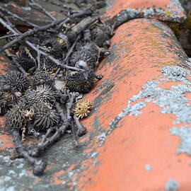 Cluttered Rooftop