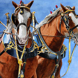 Clydesdale Duo