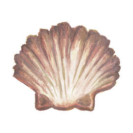 Coastal Icon Coral Vi by Elizabeth Medley