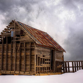 Cold by Thomas Zimmerman