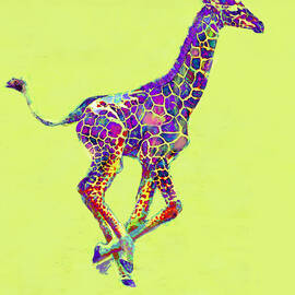 Colorful Baby Giraffe