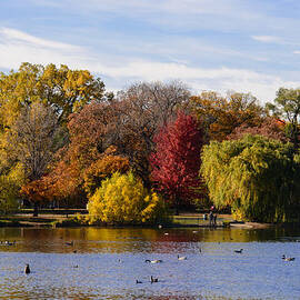 Colors Of Fall by AMB Fine Art Photography