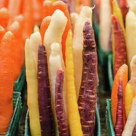 Colourful Carrots by Danielle Donders