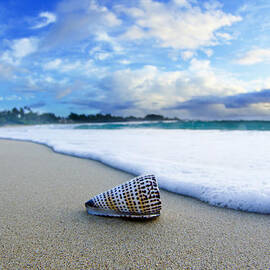 Cone Foam by Sean Davey