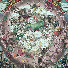 Constellations Of The Southern Hemisphere, From The Celestial Atlas, Or The Harmony Of The Universe by Andreas Cellarius