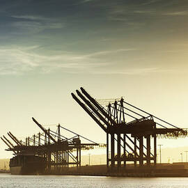 Container Cranes At The Port Of Los by Halbergman