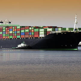 Container Ship And Tug Boat by Science Photo Library