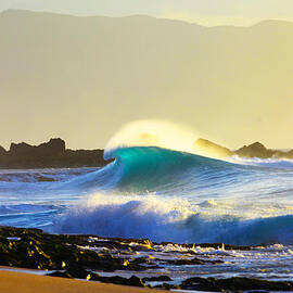Cool Curl by Sean Davey