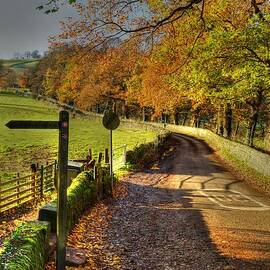 Country Lane in Autumn by David Birchall