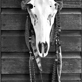 Cow Elk Skull and Feathers by Karon Melillo DeVega