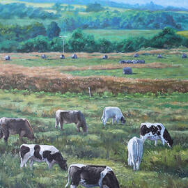 Cows in a field in the Devon countryside by Martin Davey