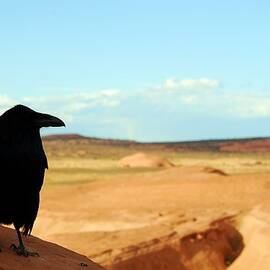 Crow with Desert Backdrop by Cascade Colors