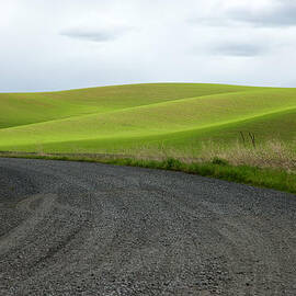 Curves Ahead by Mary Lee Dereske