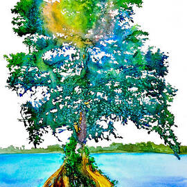  DA107 Cypress Tree Daniel Adams by Daniel Adams