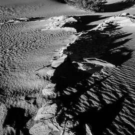 DESERT FOSSIL by Charles Dobbs