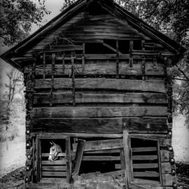 DANIEL BOONE CABIN by Karen Wiles