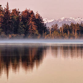 Dawn At Lake With Reflected Trees And by Michael Riffle