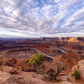 Dead Horse Point  by Dustin LeFevre