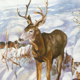 Deer at Bob's House by Anne Gifford