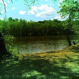 Delaware River Summer by Femina Photo Art By Maggie