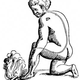 DESCARTES: REFLEX, 1664 by Granger