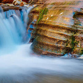 Desert Oasis by Chad Dutson