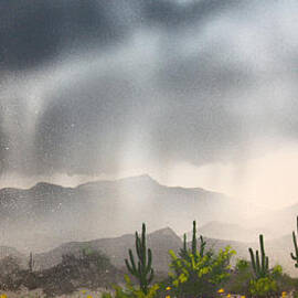 Desert Rain by Jerry Bokowski