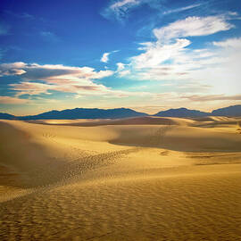 Desert Sun Light by Manuelburgos