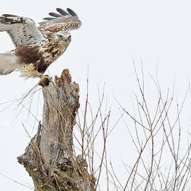 Dinner is Served by Natural Focal Point Photography