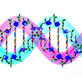 DNA 43 by Russell Kightley