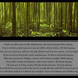Do It Anyway Bamboo Forest by David Dehner
