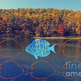 Do Not Be Afraid to Go Against the Flow Fish in Autumn Lake by Beverly Claire Kaiya