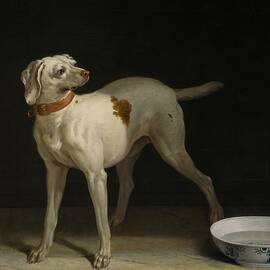 Dog, 1751 by Jean-Baptiste Oudry