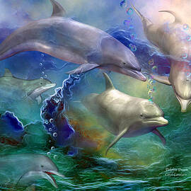 Dolphin Dream