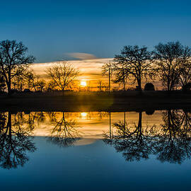 Double Down by Randy Scherkenbach