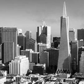 Downtown San Francisco by Radek Hofman