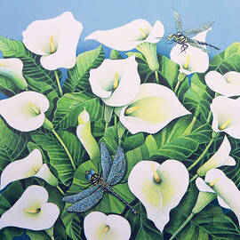 Dragon Flies by Pat Scott