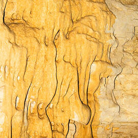 Drapery Formations In Carlsbad Caverns by Millard H. Sharp