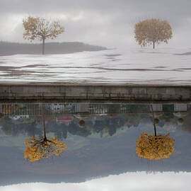 Dual by Imagining Dreams