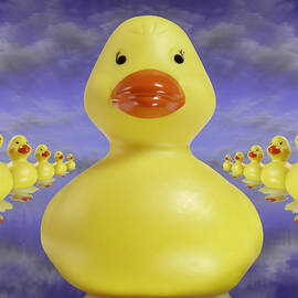 Ducks In A Row 3 by Mike McGlothlen