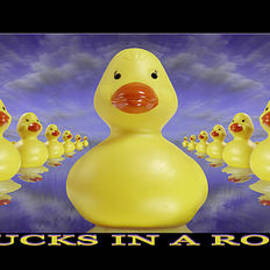 DUCKS IN A ROW by Mike McGlothlen